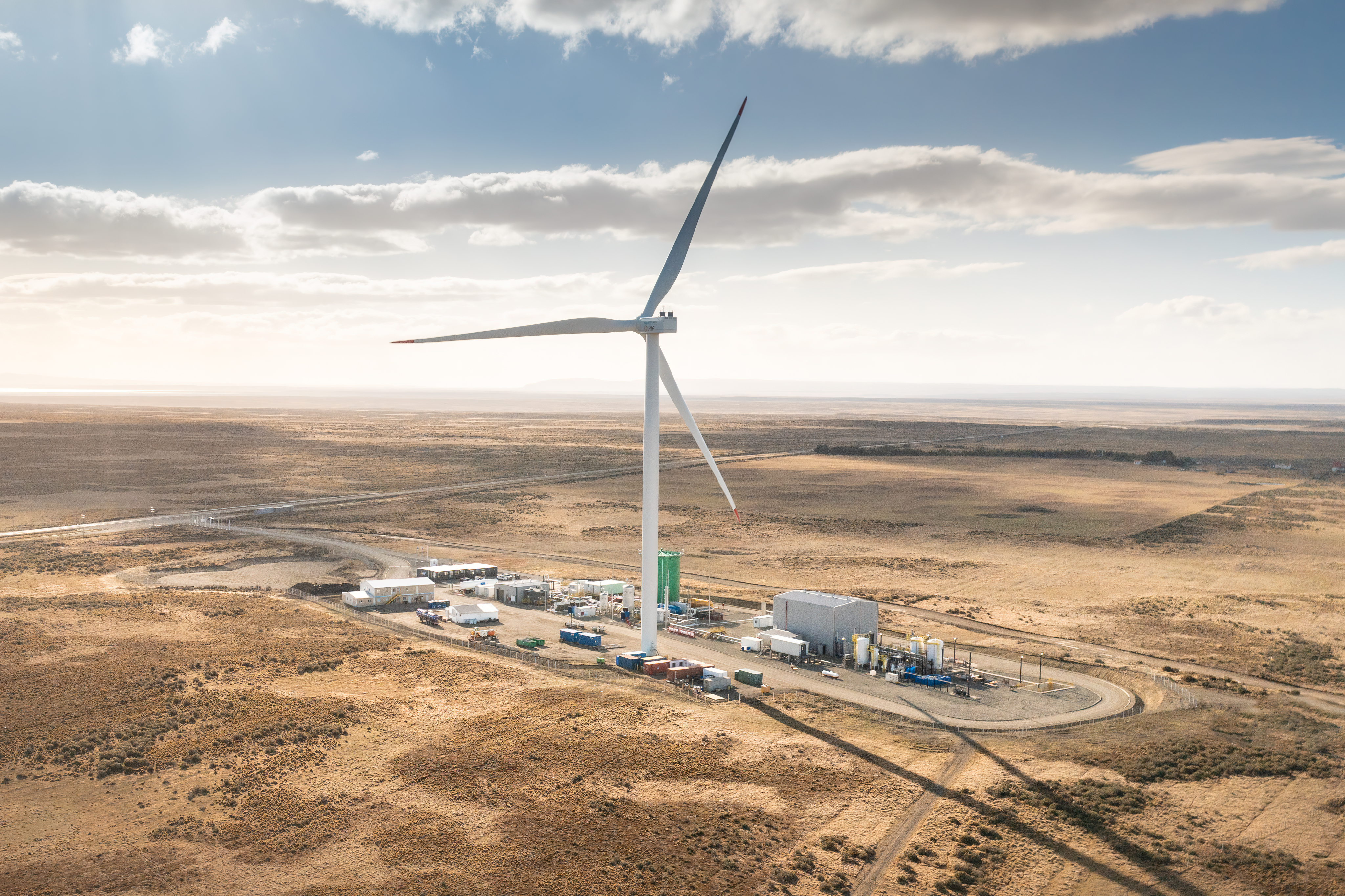 Imagen de la planta Haru Onu